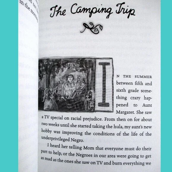 Book: The Good Times are Killing Me, written and illustrated by Lynda Barry - Picture 6 of 10